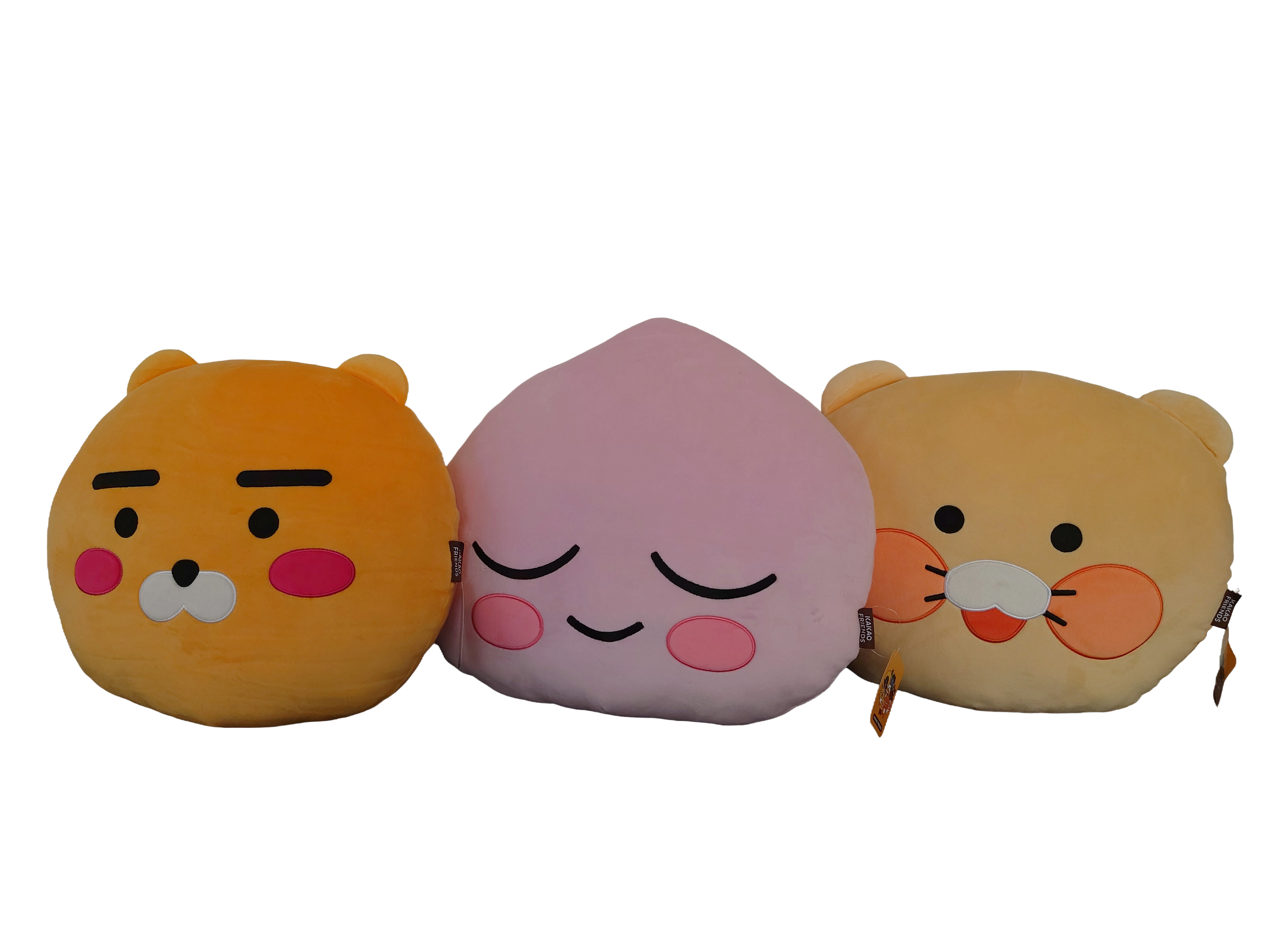 KAKAOFRIENDS_fea96a3d-d2cc-